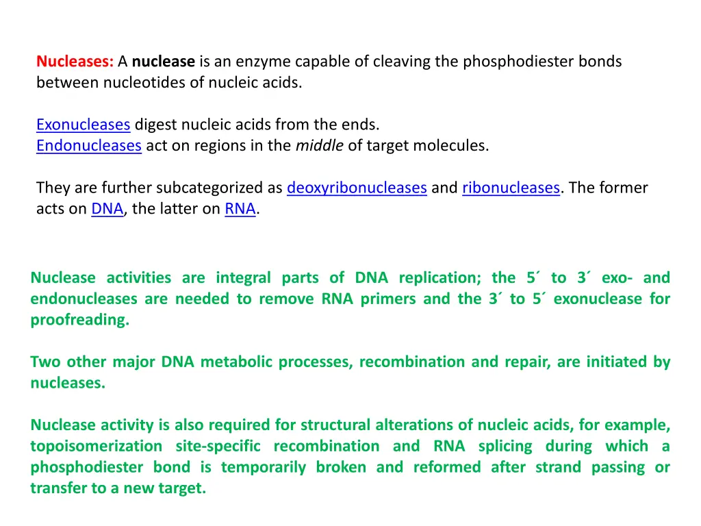 nucleases a nuclease is an enzyme capable