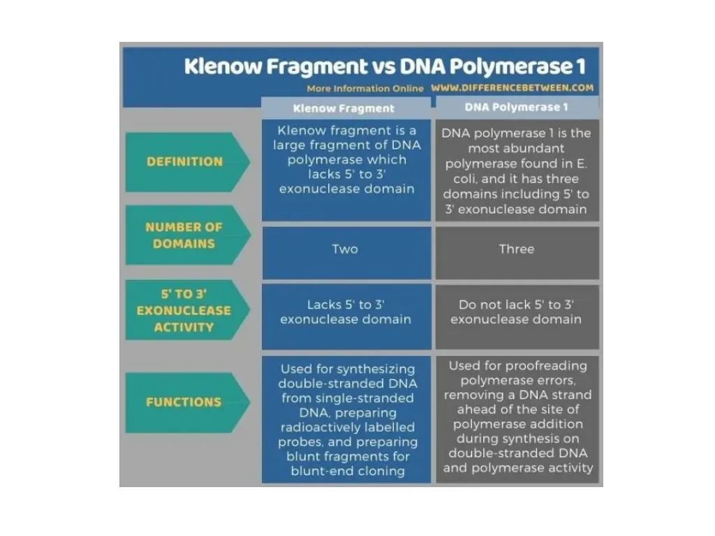 slide8
