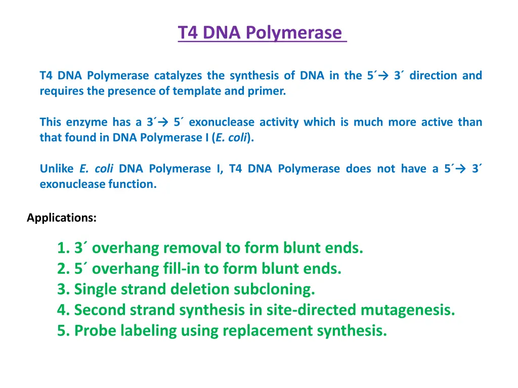 t4 dna polymerase