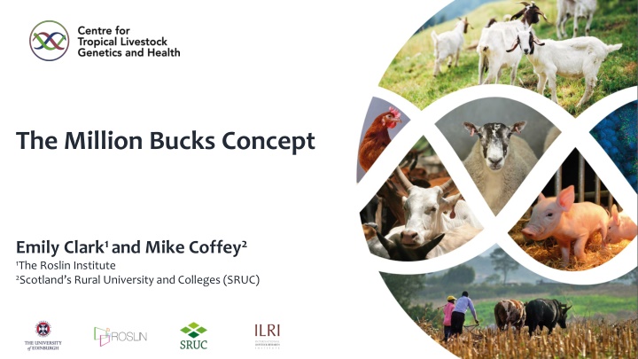 the million bucks concept