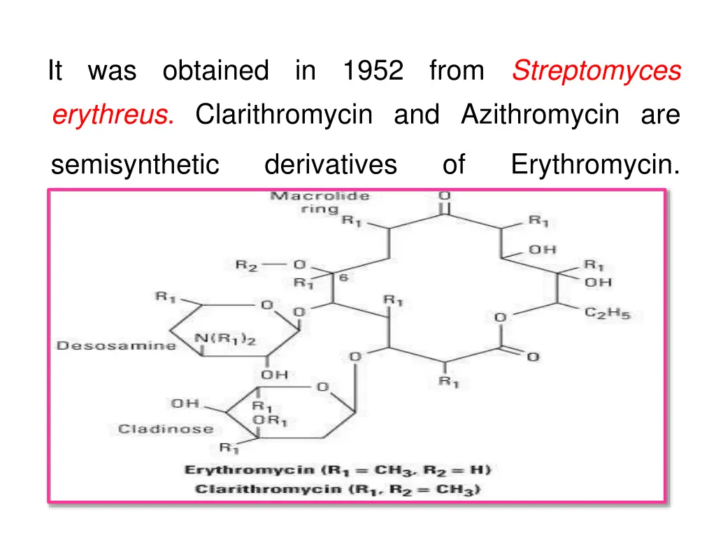 it erythreus clarithromycin and