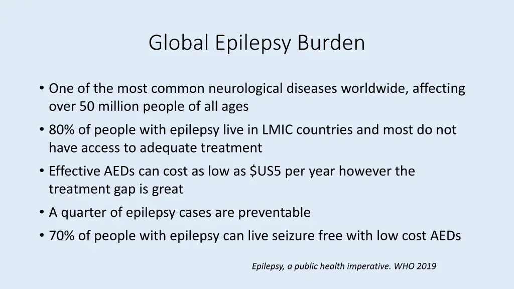 global epilepsy burden