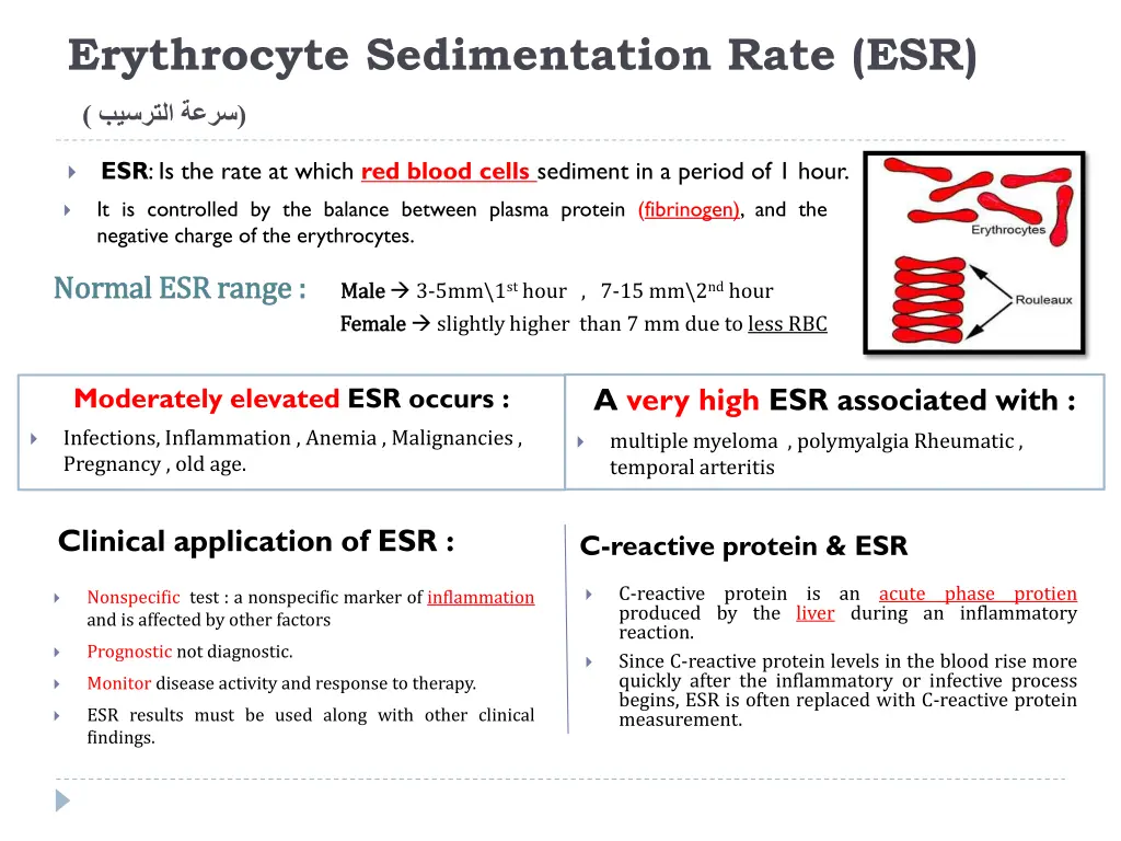 erythrocyte sedimentation rate esr