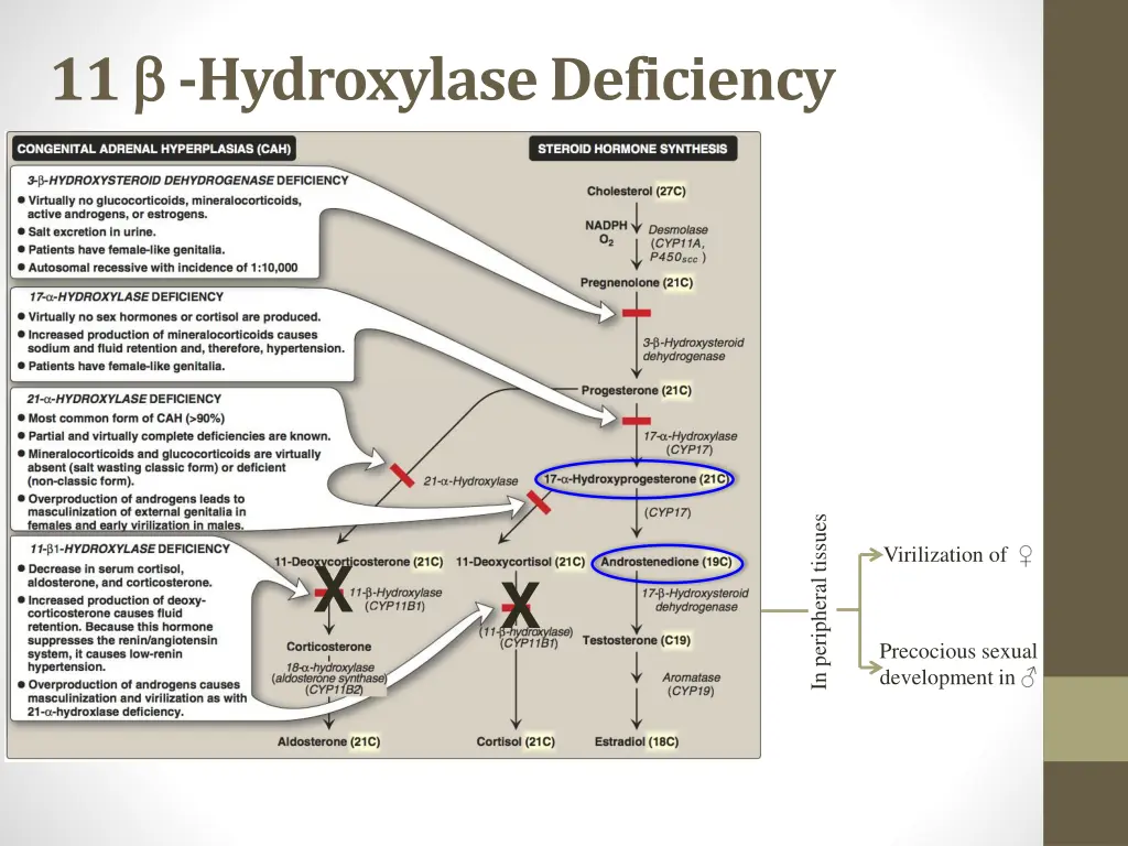 11 hydroxylase deficiency 1