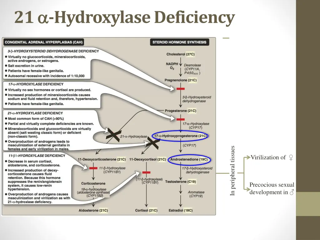 21 hydroxylase deficiency 1