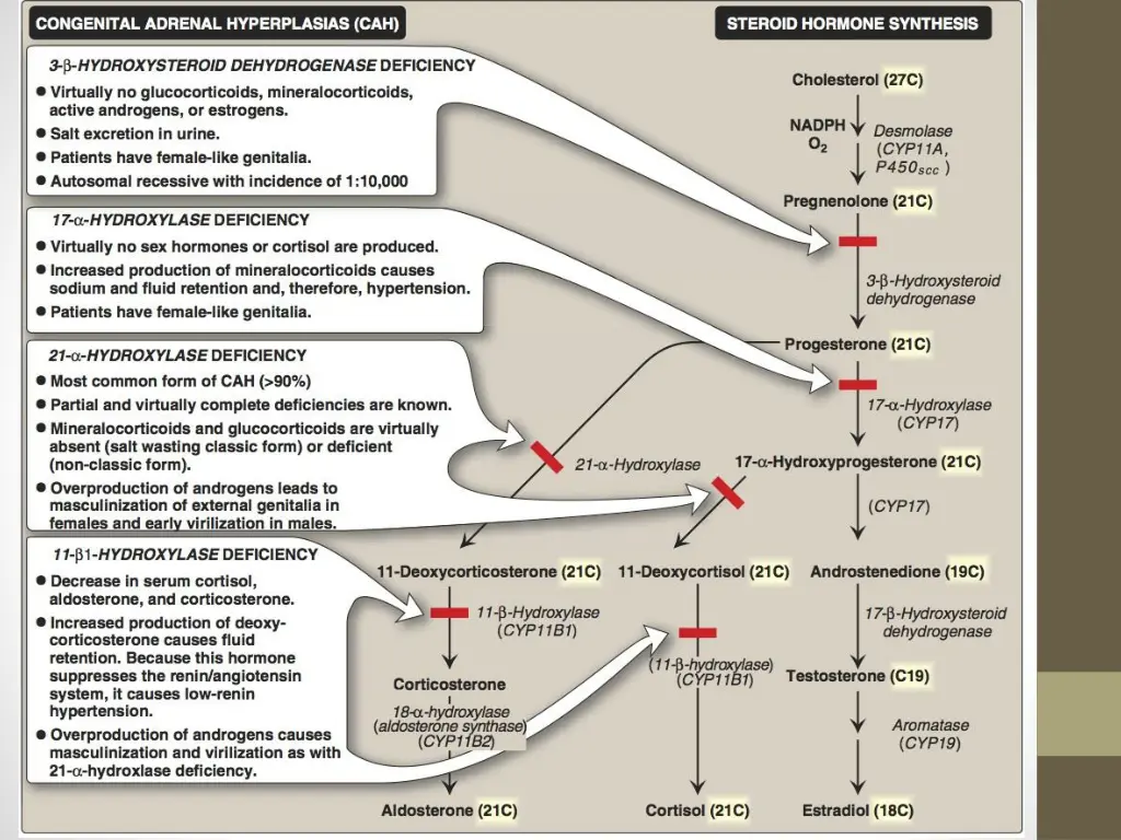 slide7