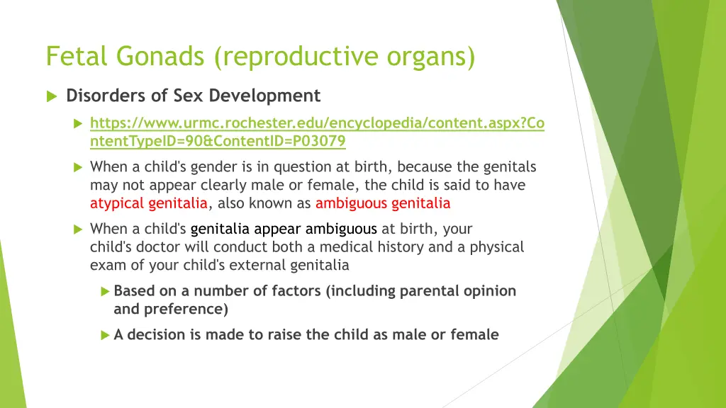 fetal gonads reproductive organs 1
