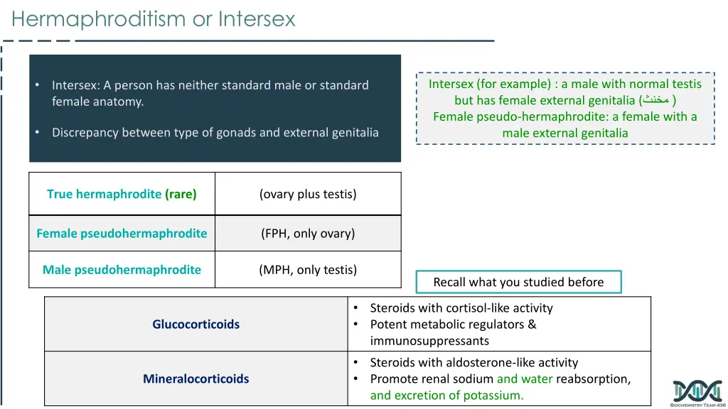 hermaphroditism or intersex