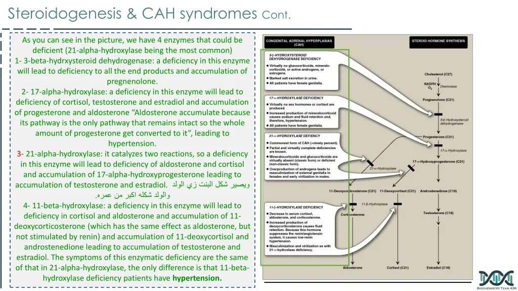 steroidogenesis cah syndromes cont