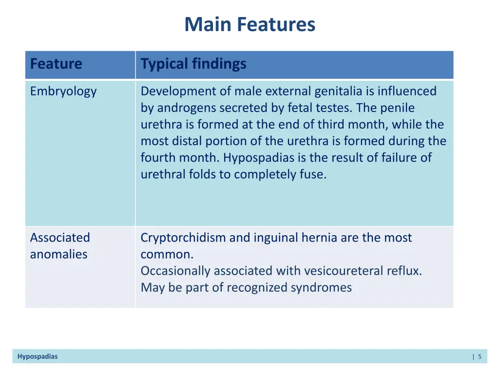 main features