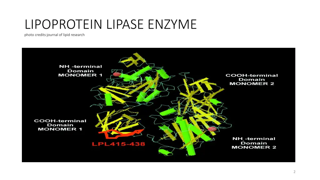 lipoprotein lipase enzyme photo credits journal