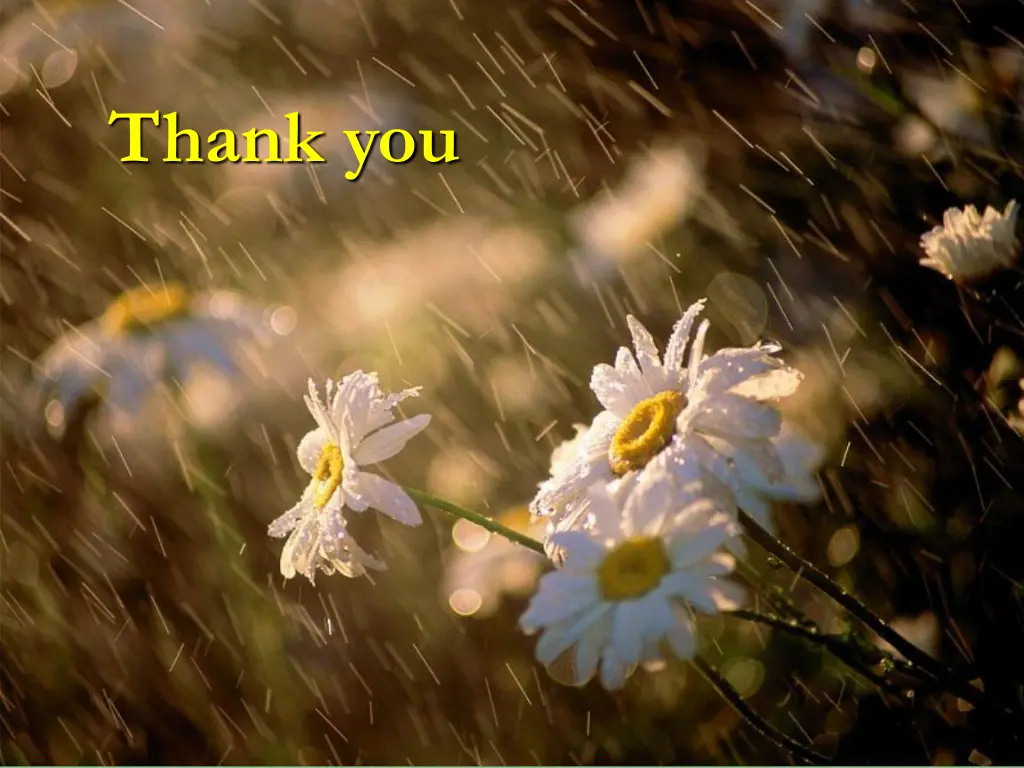 thank you