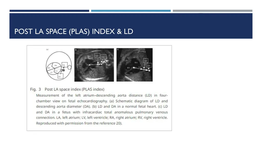 post la space plas index ld