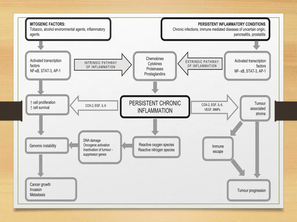 slide12