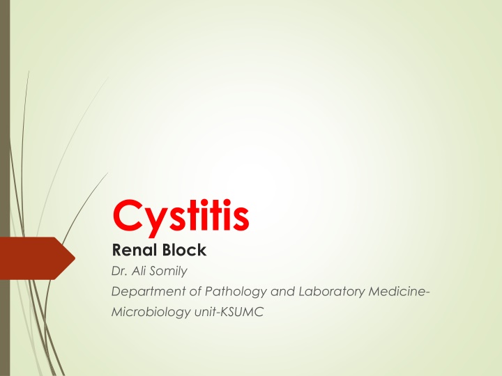 cystitis renal block dr ali somily department