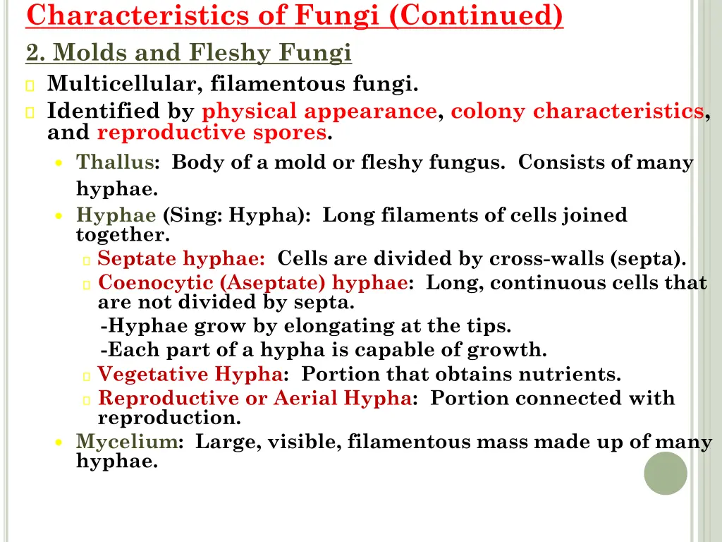 characteristics of fungi continued 2 molds