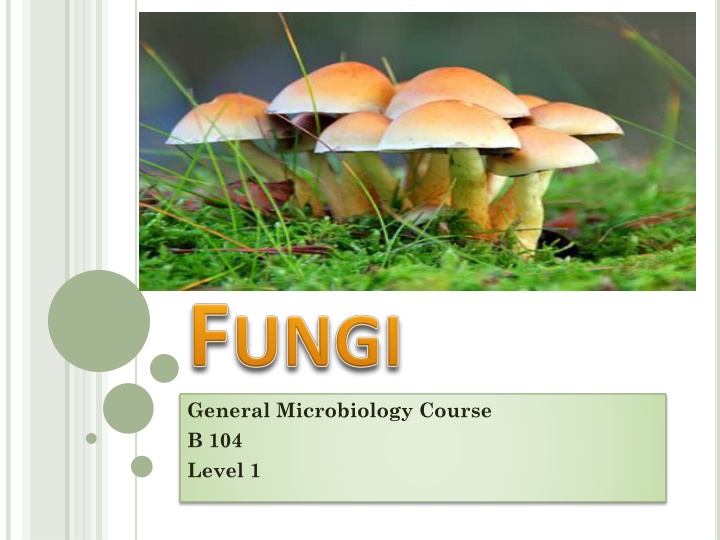general microbiology course b 104 level 1