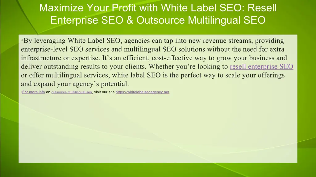 maximize your profit with white label seo resell 1