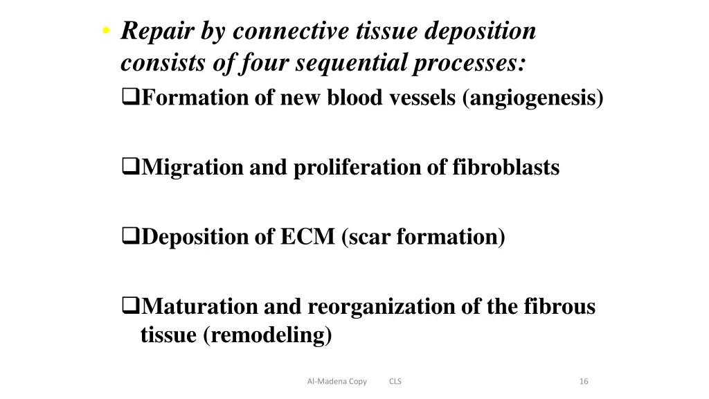 repair by connective tissue deposition consists