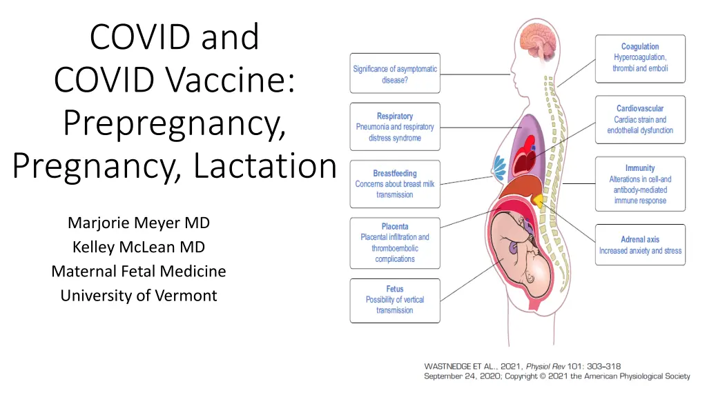 covid and covid vaccine prepregnancy pregnancy