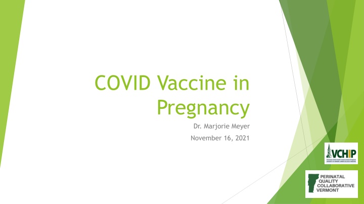 covid vaccine in pregnancy