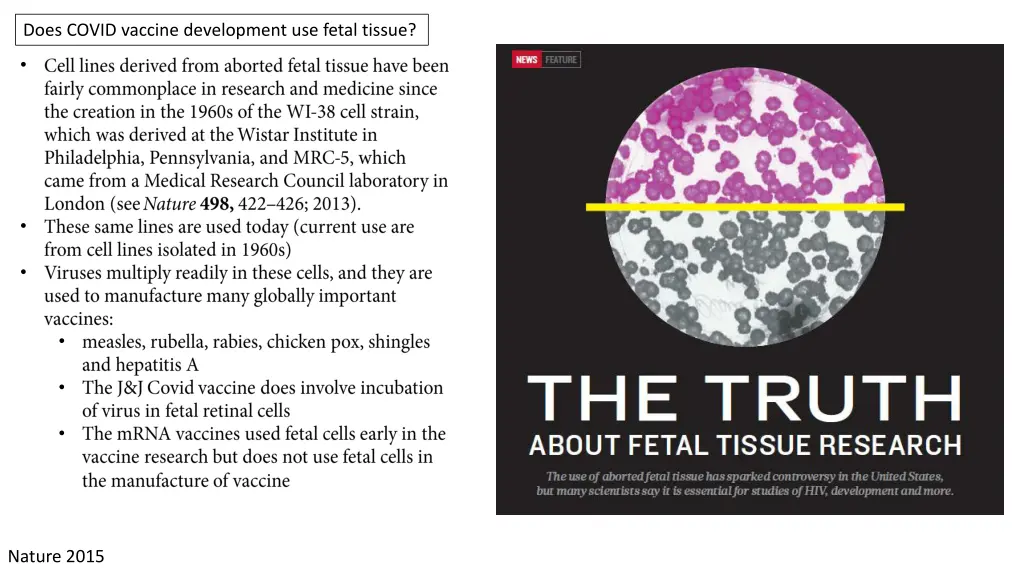 does covid vaccine development use fetal tissue