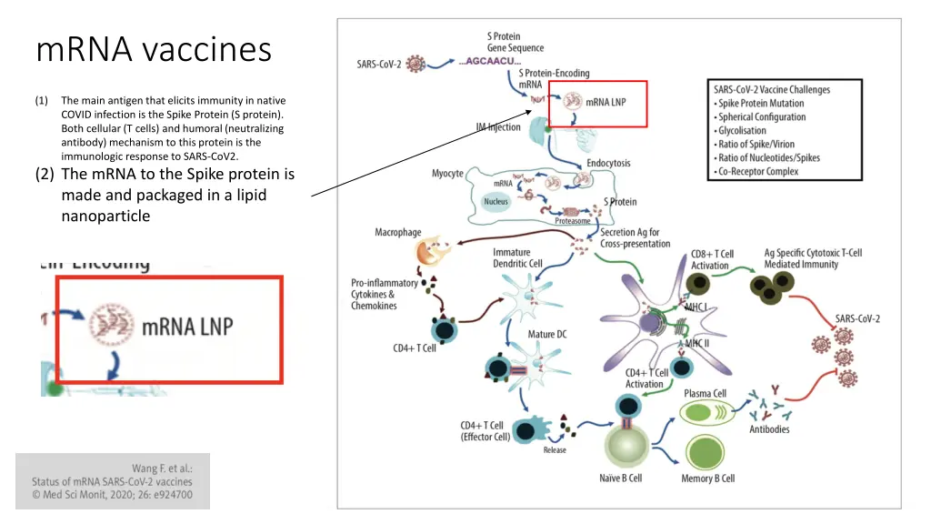 mrna vaccines 1