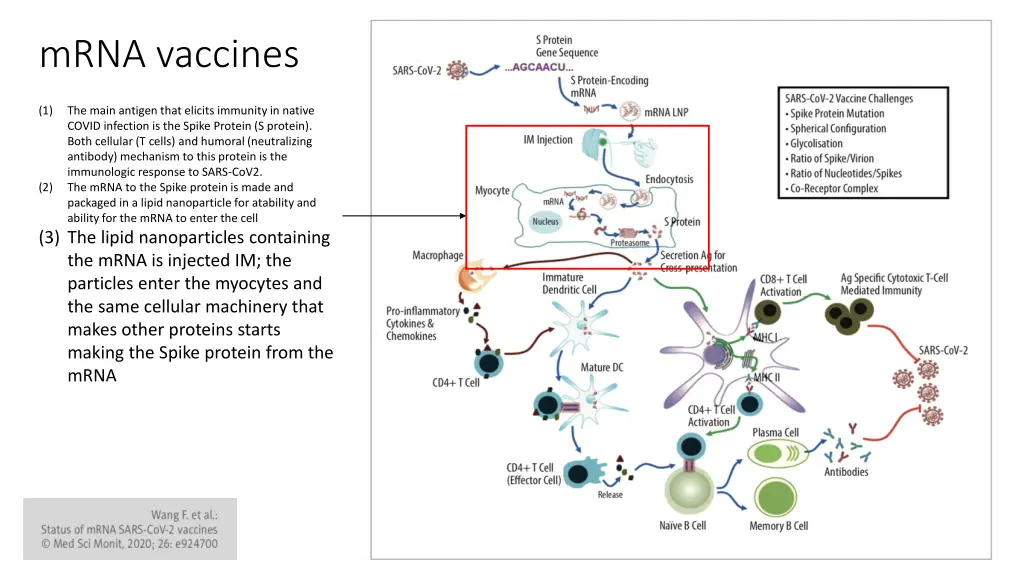 mrna vaccines 2