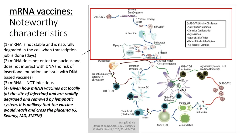 mrna vaccines mrna vaccines noteworthy