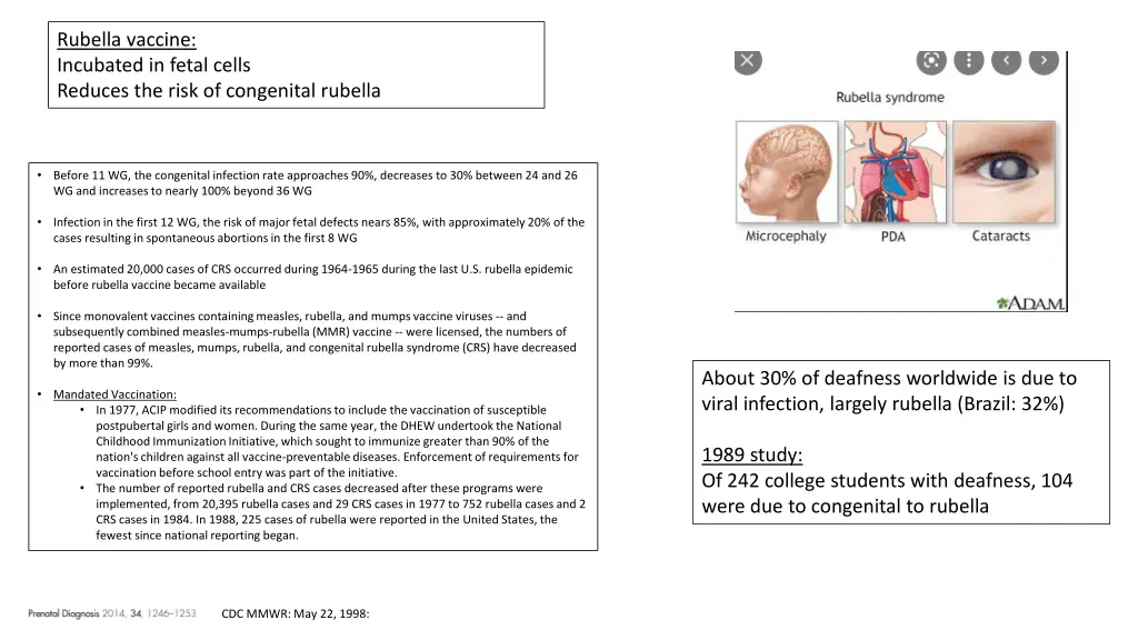 rubella vaccine incubated in fetal cells reduces