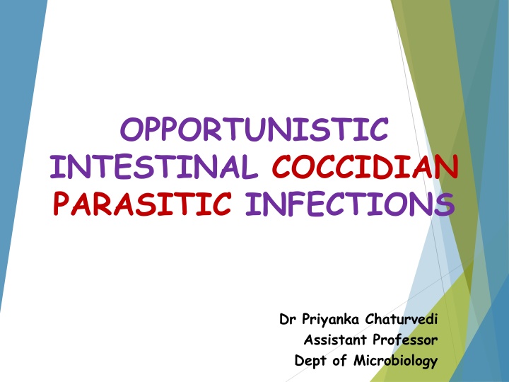 opportunistic intestinal coccidian parasitic