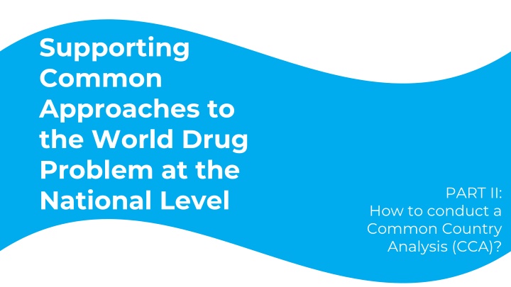 supporting common approaches to the world drug