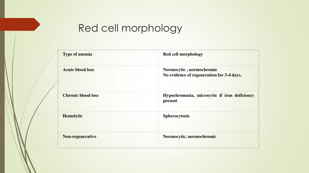 red cell morphology