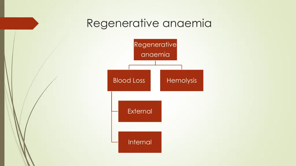 regenerative anaemia 1