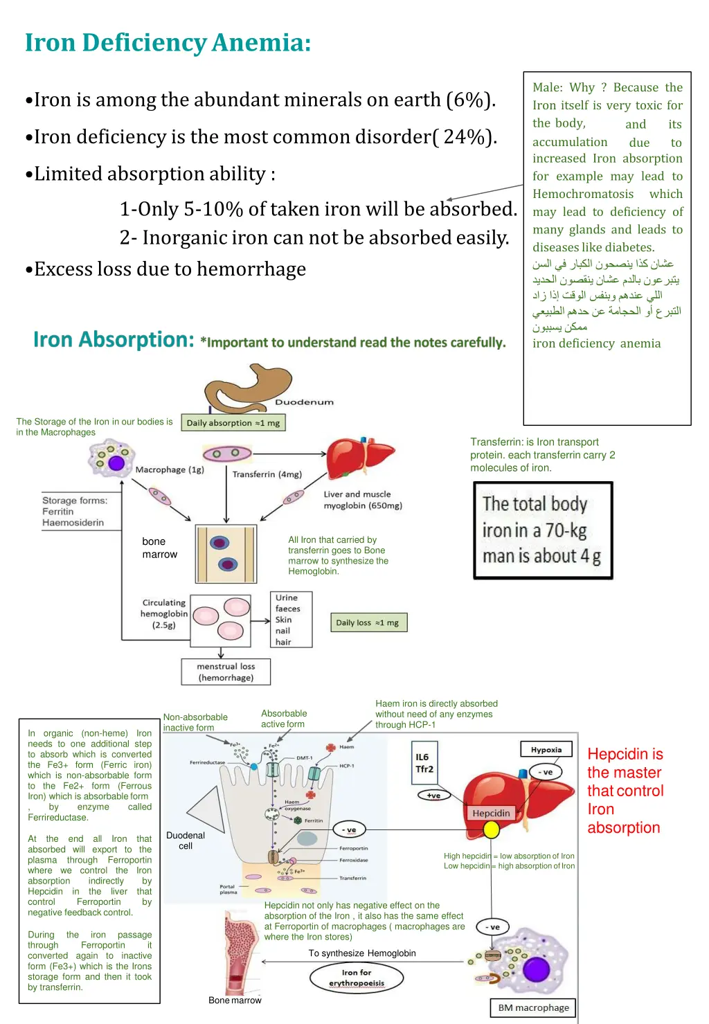 iron deficiencyanemia
