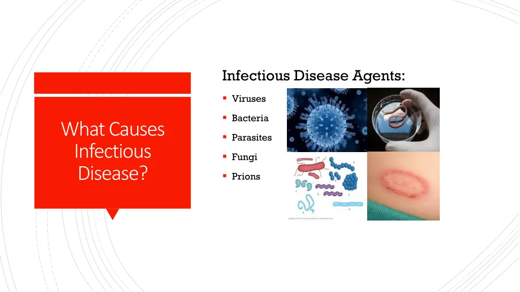 infectious disease agents