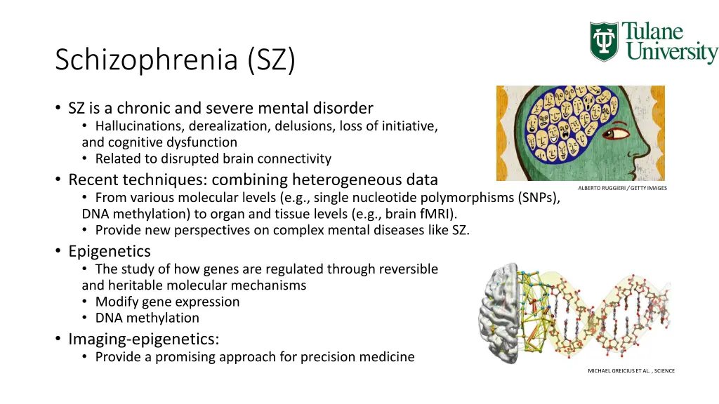 schizophrenia sz