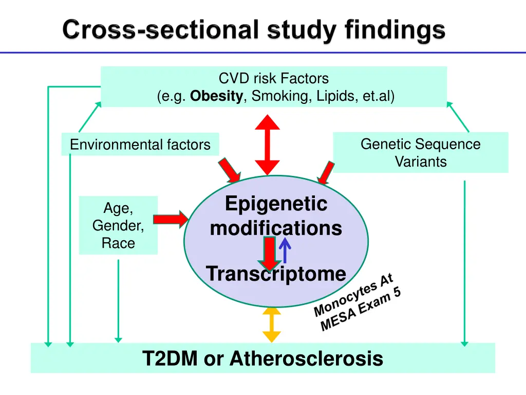 cvd risk factors