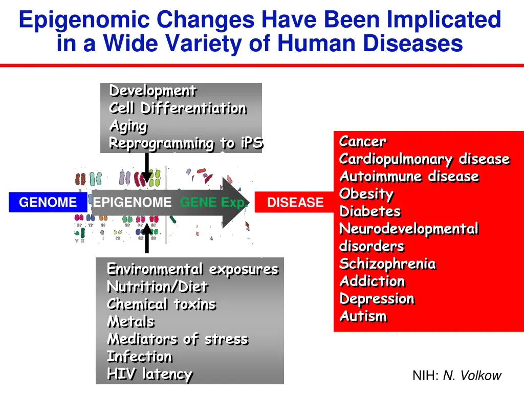 epigenomic changes have been implicated in a wide