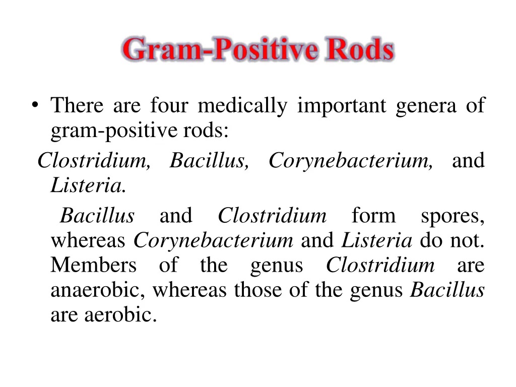 gram positive rods