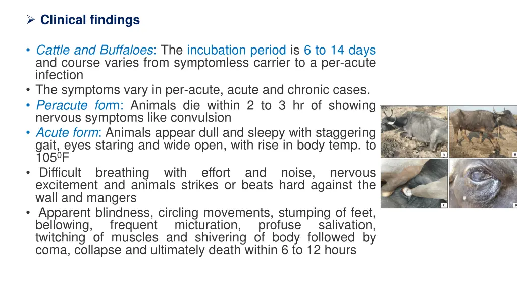 clinical findings