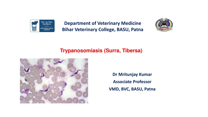 department of veterinary medicine bihar