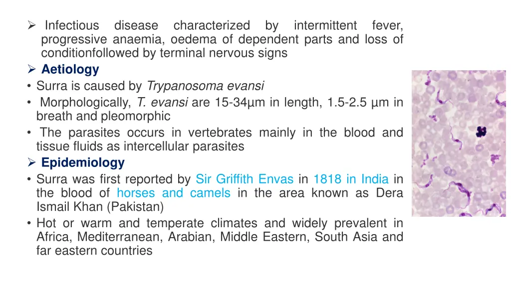 infectious progressive anaemia oedema