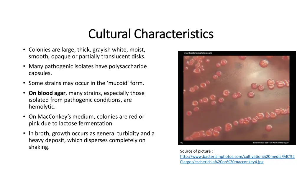 cultural characteristics cultural characteristics
