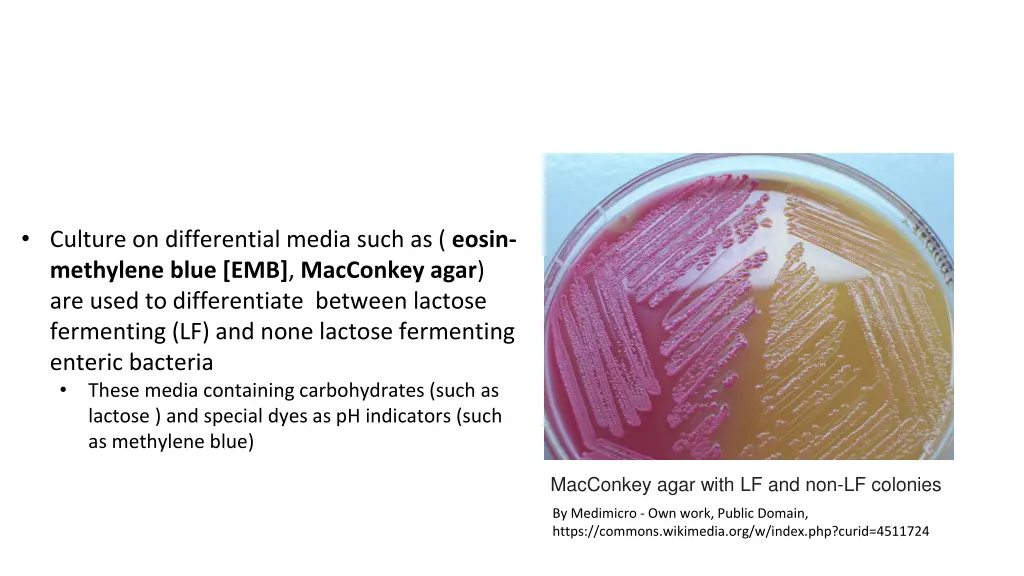 culture on differential media such as eosin