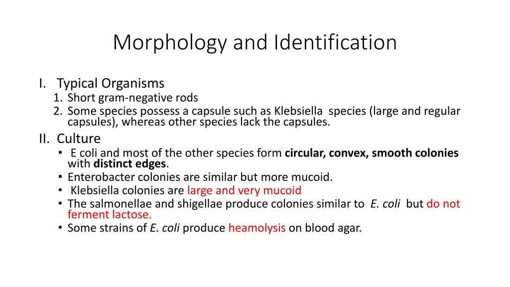 morphology and identification