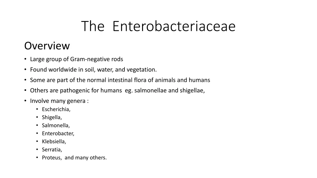 the enterobacteriaceae
