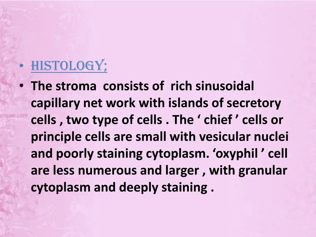 histology the stroma consists of rich sinusoidal
