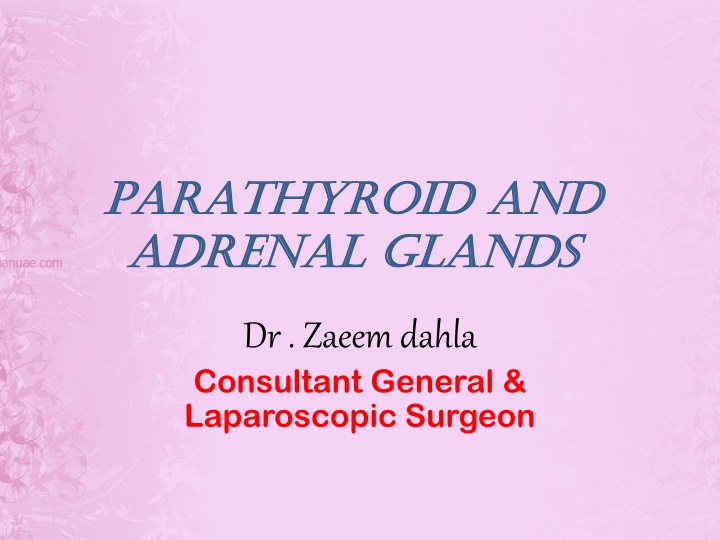 parathyroid and parathyroid and adrenal glands