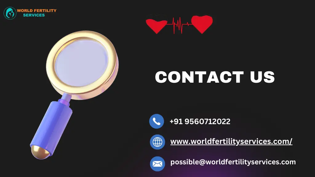 contact us